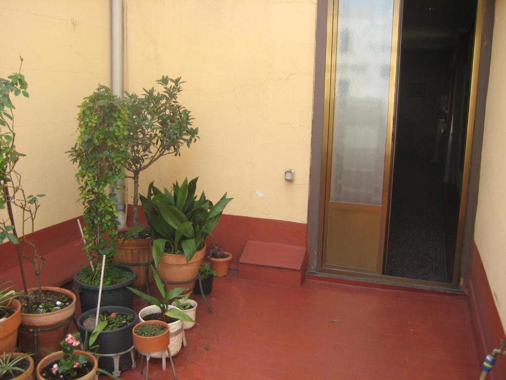 Hostal La Selecta — Fotoğraflar 3